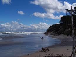 Rezerwat przyrody Widowo